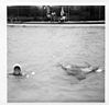 stottvillepool0017.jpg