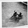 stottvillepool0018.jpg